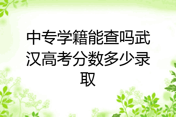 中专学籍能查吗武汉高考分数多少录取