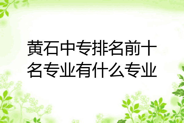 黄石中专排名前十名专业有什么专业