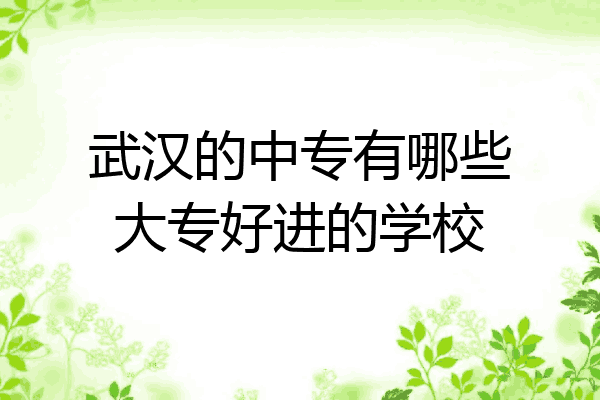 武汉的中专有哪些大专好进的学校