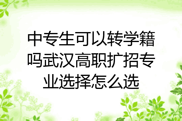 中专生可以转学籍吗武汉高职扩招专业选择怎么选