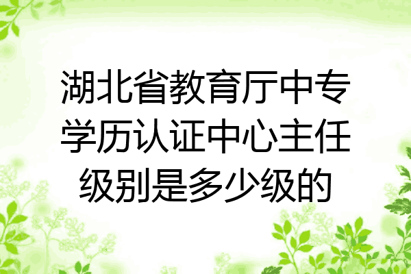 湖北省教育厅中专学历认证中心主任级别是多少级的
