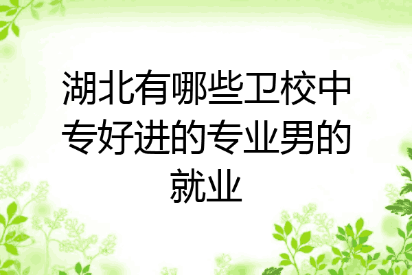 湖北有哪些卫校中专好进的专业男的就业