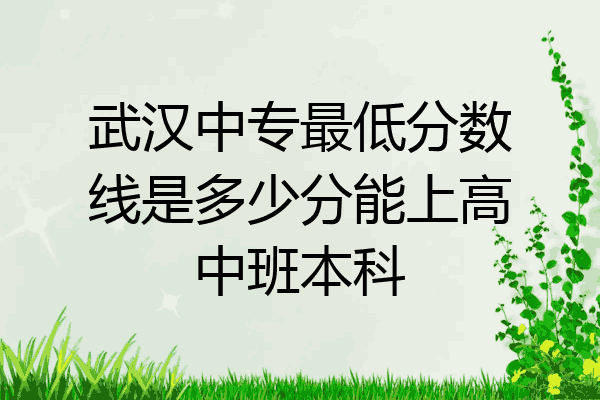 武汉中专最低分数线是多少分能上高中班本科