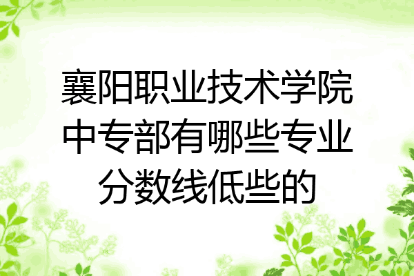 襄阳职业技术学院中专部有哪些专业分数线低些的