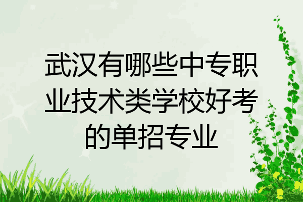 武汉有哪些中专职业技术类学校好考的单招专业