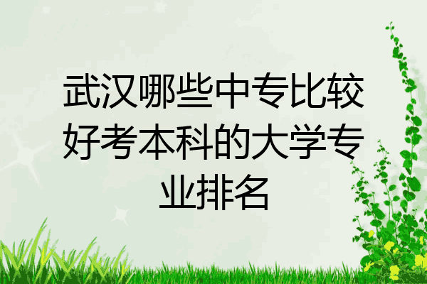 武汉哪些中专比较好考本科的大学专业排名