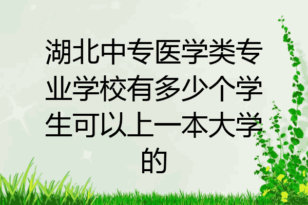 湖北中专医学类专业学校有多少个学生可以上一本大学的