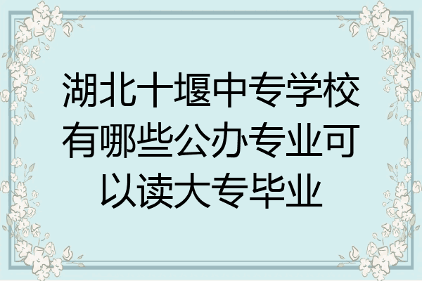 湖北十堰中专学校有哪些公办专业可以读大专毕业