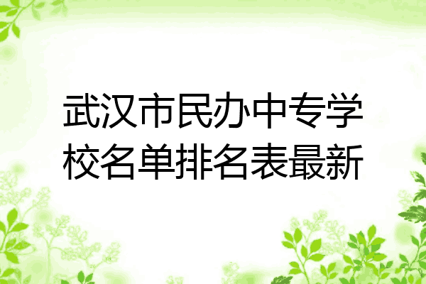 武汉市民办中专学校名单排名表最新
