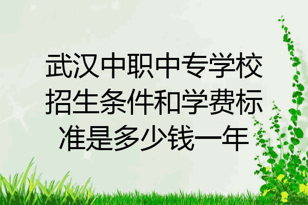 武汉中职中专学校招生条件和学费标准是多少钱一年