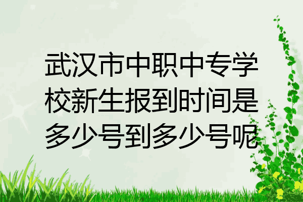 武汉市中职中专学校新生报到时间是多少号到多少号呢