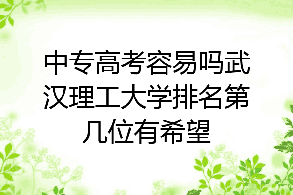 中专高考容易吗武汉理工大学排名第几位有希望