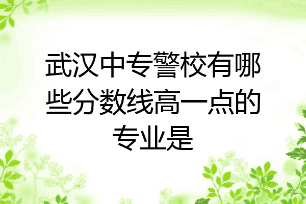 武汉中专警校有哪些分数线高一点的专业是