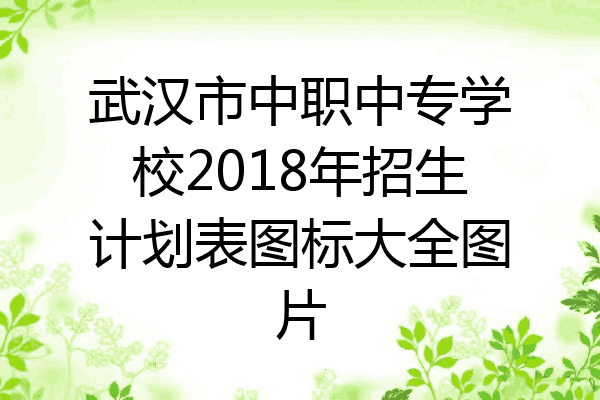 武汉市中职中专学校2018年招生计划表图标大全图片