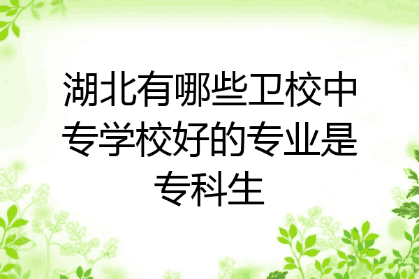 湖北有哪些卫校中专学校好的专业是专科生