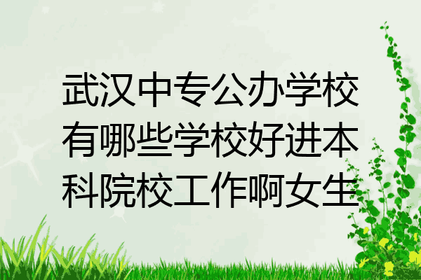 武汉中专公办学校有哪些学校好进本科院校工作啊女生