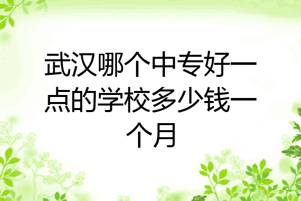 武汉哪个中专好一点的学校多少钱一个月