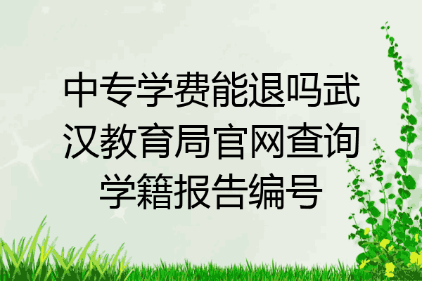 中专学费能退吗武汉教育局官网查询学籍报告编号