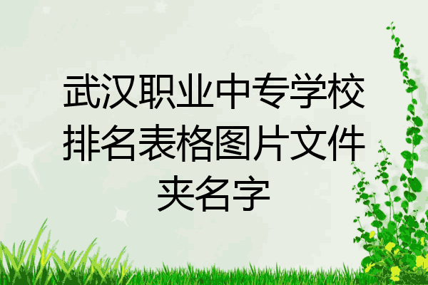 武汉职业中专学校排名表格图片文件夹名字