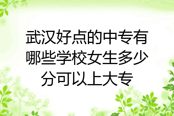 武汉好点的中专有哪些学校女生多少分可以上大专