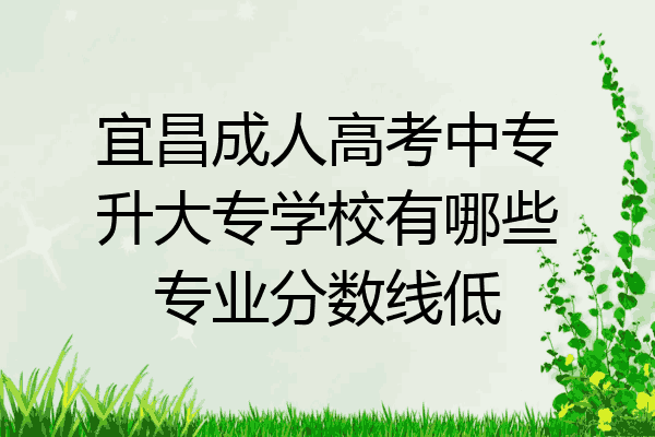 宜昌成人高考中专升大专学校有哪些专业分数线低