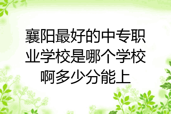 襄阳最好的中专职业学校是哪个学校啊多少分能上