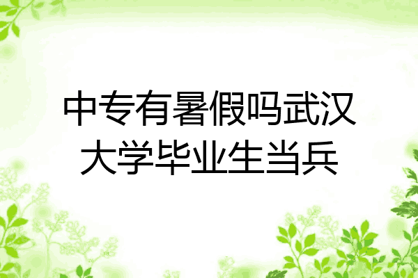 中专有暑假吗武汉大学毕业生当兵