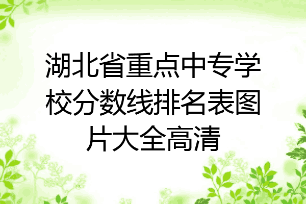 湖北省重点中专学校分数线排名表图片大全高清