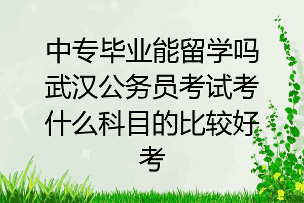 中专毕业能留学吗武汉公务员考试考什么科目的比较好考