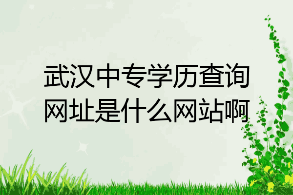 武汉中专学历查询网址是什么网站啊