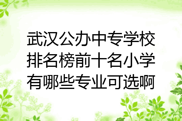 武汉公办中专学校排名榜前十名小学有哪些专业可选啊