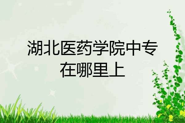 湖北医药学院中专在哪里上