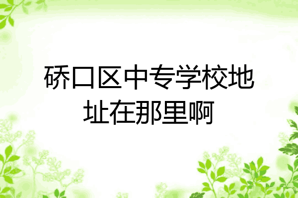 硚口区中专学校地址在那里啊