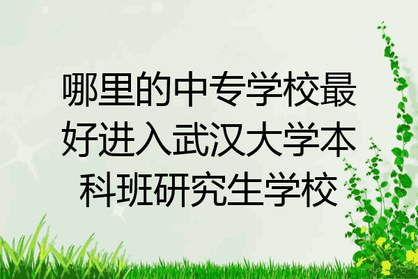 哪里的中专学校最好进入武汉大学本科班研究生学校