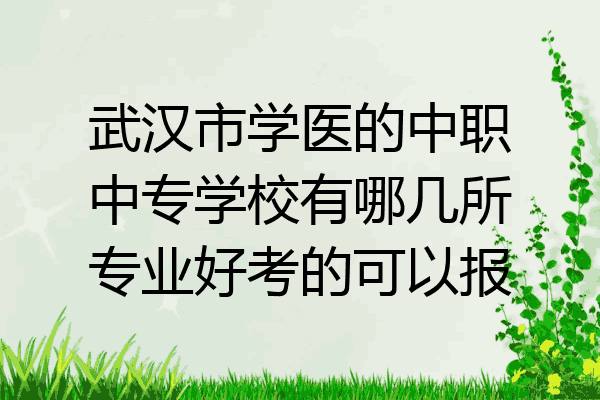 武汉市学医的中职中专学校有哪几所专业好考的可以报