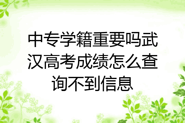 中专学籍重要吗武汉高考成绩怎么查询不到信息