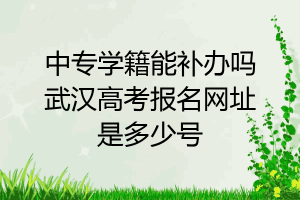 中专学籍能补办吗武汉高考报名网址是多少号