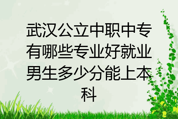 武汉公立中职中专有哪些专业好就业男生多少分能上本科