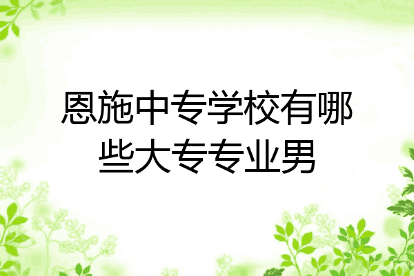 恩施中专学校有哪些大专专业男