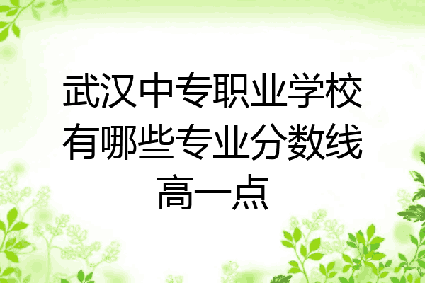 武汉中专职业学校有哪些专业分数线高一点