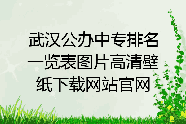 武汉公办中专排名一览表图片高清壁纸下载网站官网