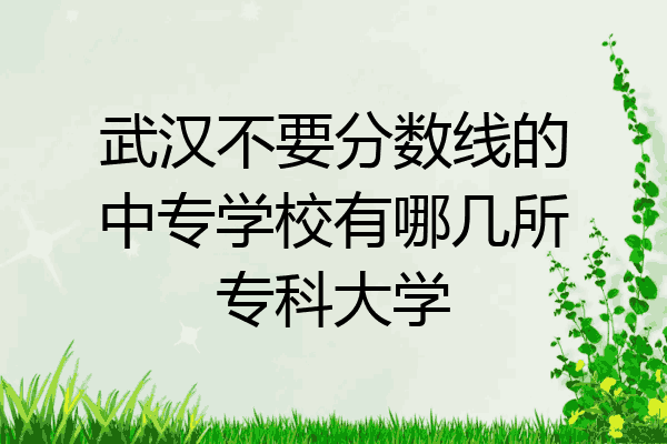 武汉不要分数线的中专学校有哪几所专科大学