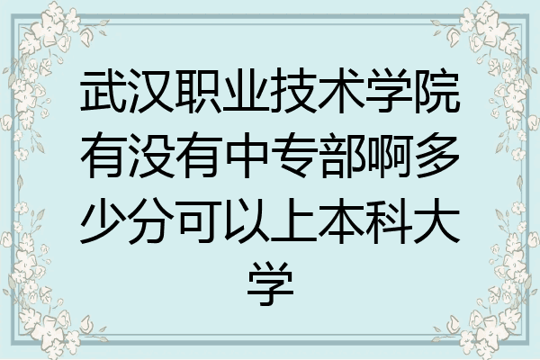 武汉职业技术学院有没有中专部啊多少分可以上本科大学