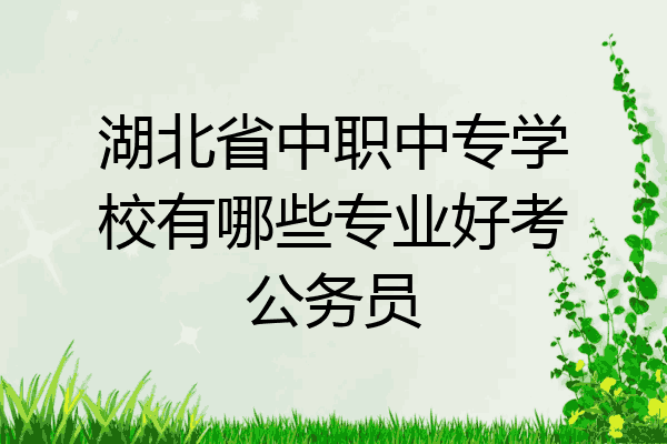 湖北省中职中专学校有哪些专业好考公务员