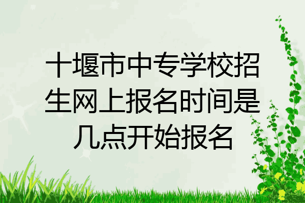 十堰市中专学校招生网上报名时间是几点开始报名