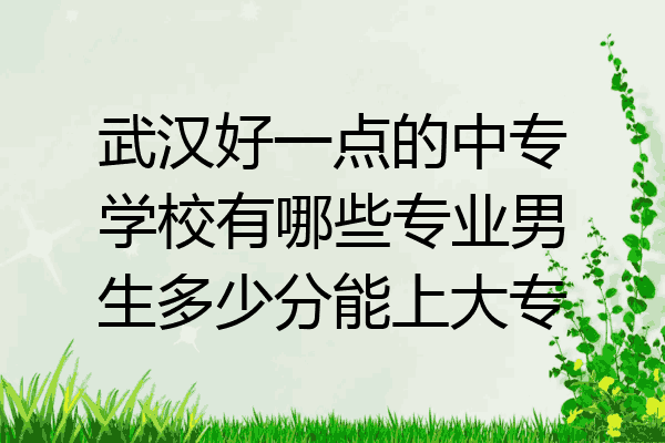 武汉好一点的中专学校有哪些专业男生多少分能上大专