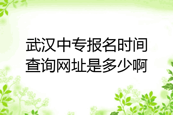 武汉中专报名时间查询网址是多少啊