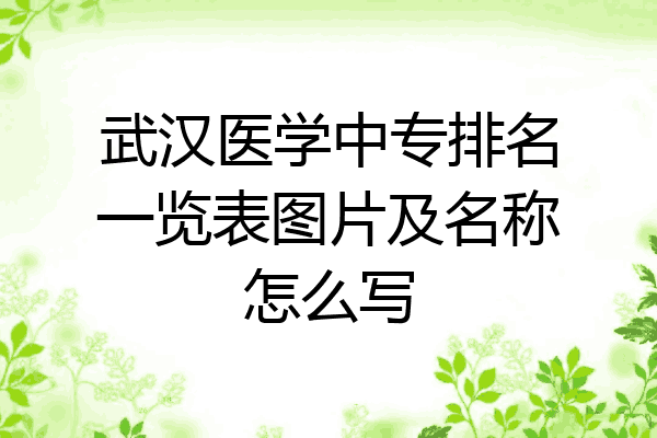 武汉医学中专排名一览表图片及名称怎么写