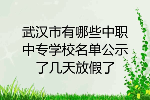 武汉市有哪些中职中专学校名单公示了几天放假了