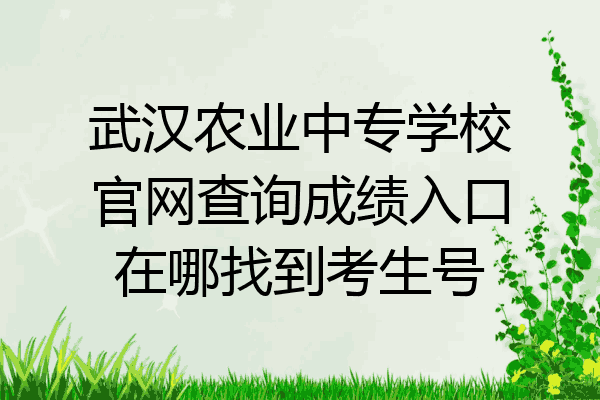 武汉农业中专学校官网查询成绩入口在哪找到考生号
